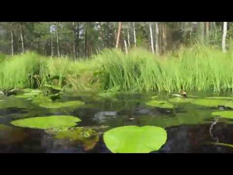 Видео: К озеру Тпруно