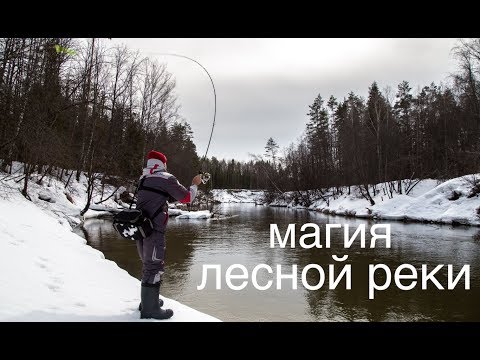 Видео: Береговая рыбалка на реке. Щука после схода льда.