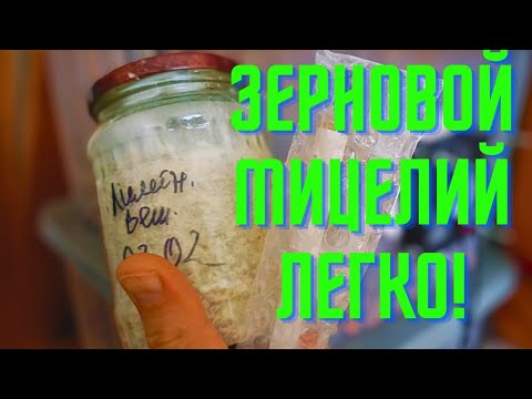 Видео: Как нарастить зерновой мицелий из жидкого? Нестерильные условия.
