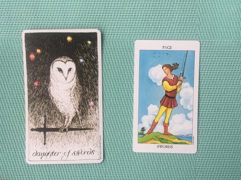 Видео: Паж мечей (Дочь мечей) через символы из Дикого Неизвестного Таро