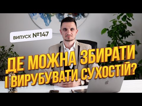 Видео: Де можна збирати і вирубувати сухостій? Щоб уникнути штрафів!