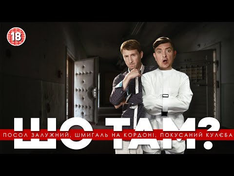 Видео: Посол Залужний, Шмигаль на кордоні, покусаний Кулєба | Шо там у нас №90