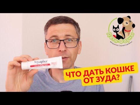 Видео: Кошка чешется, что ей можно дать? 3 препарата от зуда у кошки и собаки