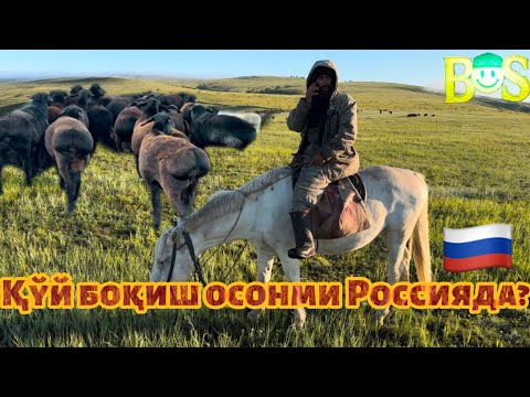 Видео: “Фермерлик нимадан бошланади ?” 🇷🇺