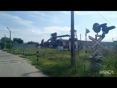 Видео: БЕЛЬЦЫ,МАРКУЛЕШТЫ.Круиз по Молдавии.Дальнобой на бусике.