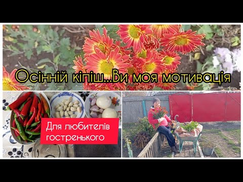 Видео: Продовжую наводити лад на городі. Маринований гіркий перець на зиму🌶️.@natalochka2408 