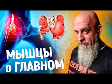 Видео: МЫШЦЫ - О САМОМ ГЛАВНОМ! КОКСАРТРОЗ - Мышечный баланс и дисбаланс | ТРЕНЕР ХАПАЕВ
