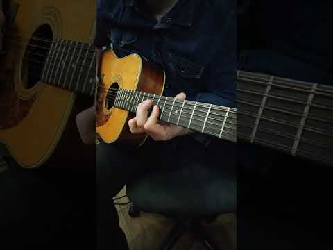 Видео: Лирика на 12 Струнной Гитаре #shorts