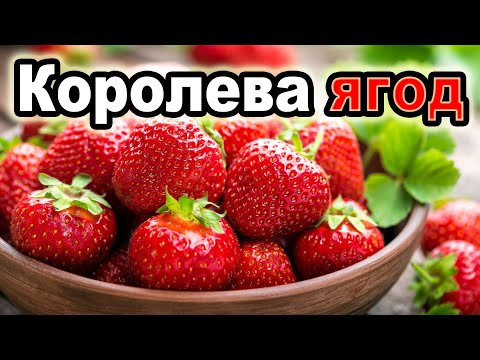 Видео: Польза клубники для организма