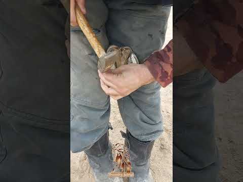 Видео: Ат тағалау/ тағашы /