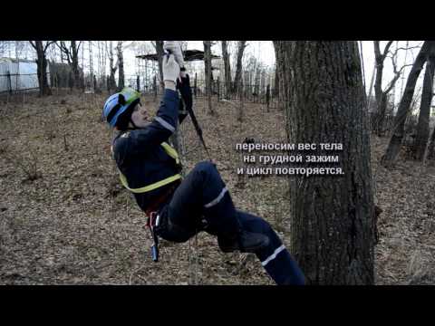 Видео: техника подъёма и спуска по верёвке с помощью зажимов