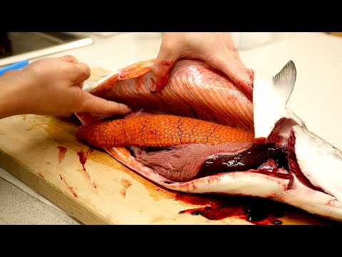 Видео: Только 1 из 1000 лосося "MEJIKA" и его лососевая икра являются исключительными