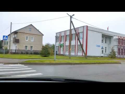 Видео: Геранены, осень, 2023