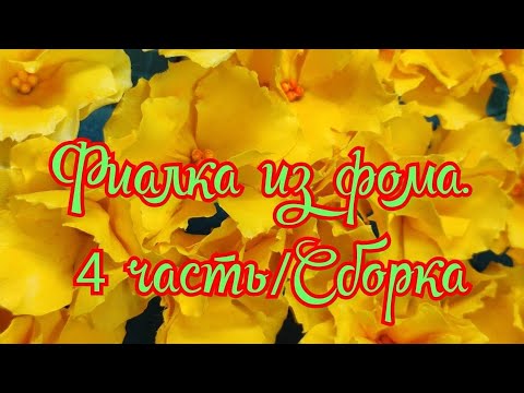 Видео: ФИАЛКА ИЗ ФОМА / 4 ЧАСТЬ / СБОРКА