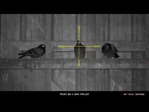 Видео: Борьба с ночными голубями и вредителями с помощью AirArm S510