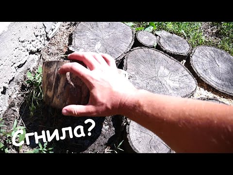 Видео: Садовая дорожка из спилов год спустя