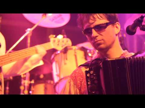 Видео: Человек и Кошка (Acid Version) - Тель Авив