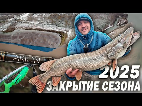 Видео: ТРОФЕЙНАЯ ЩУКА, НАЛИМ, СУДАКИ клюют дуплетом  ... Осенняя рыбалка с берега на ДЖИГ в НОВОСИБИРСКЕ.