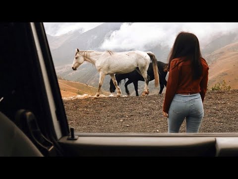 Видео: Осетия на машине. Часть 2. Мышь в Автодоме.