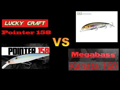 Видео: Твичинг-батл - Megabass Kanata 160 F против Lucky Craft Pointer 158 SP