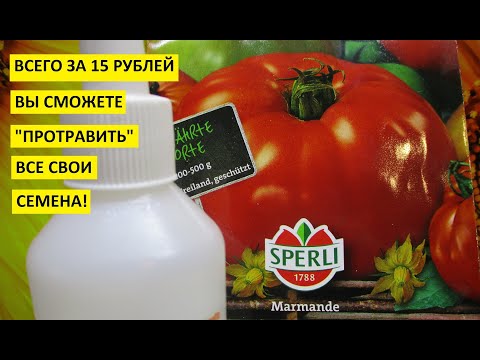 Видео: Самое дешевое и эффективное средство для обработки семян перед посевом Хлоргексидин.