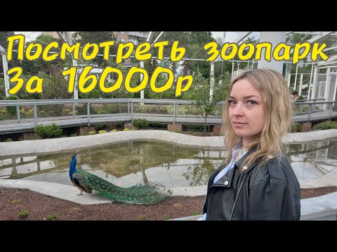 Видео: МОСКОВСКИЙ ЗООПАРК / СЕМЕЙНЫЙ ВЛОГ