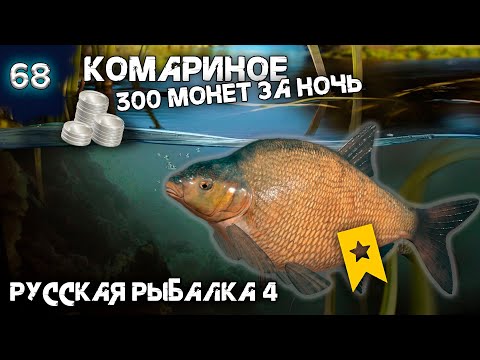 Видео: Русская рыбалка 4 - Комариное. 300 серы за ночь, точка на Трофейного Леща ! [#68]