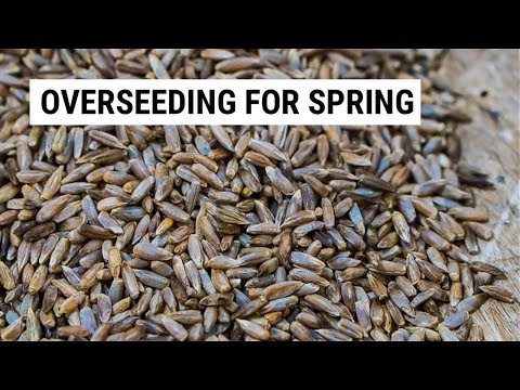 Видео: Зачем и как подсев пастбищ