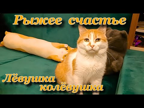 Видео: Рыжее счастье Лëвушка колëвушка. 
