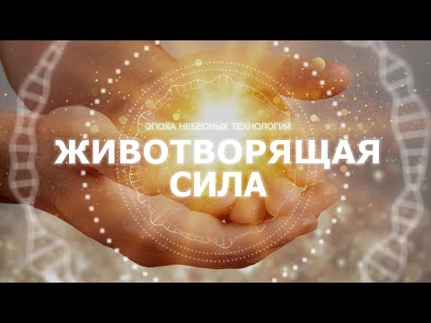 Видео: Животворящая сила