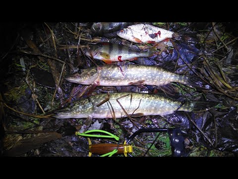 Видео: Slingshot. Тестирую новые дротики для рогатки.