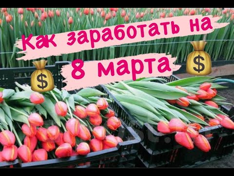 Видео: 500к+ за неделю на продаже цветов. 8 марта изнутри