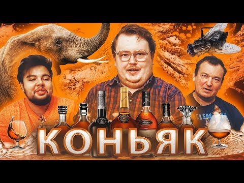 Видео: ОБЗОР - КОНЬЯКА