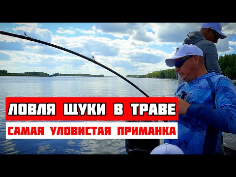 Видео: КАК ЛОВИТЬ ЩУКУ В ТРАВЕ НА СПИННИНГ. 
