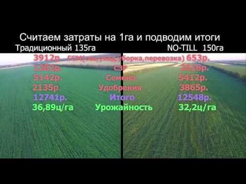 Видео: Уборка кукурузы 2019. Подводим итоги.