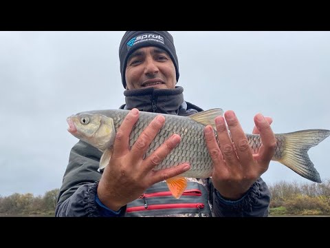 Видео: Рыбалка на Хищника. Река ОКА. Щука, ГОЛАВЛЬ. #NEKFISH 