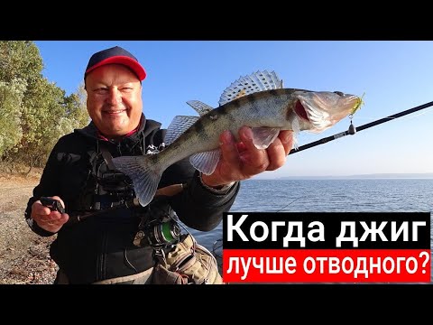 Видео: Эксперимент! Когда джиг лучше отводного? Окуни и судаки на джиг и отводной осенью с берега