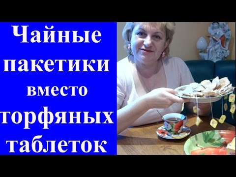 Видео: ЧАЙНЫЕ ПАКЕТИКИ вместо ТОРФЯНЫХ ТАБЛЕТОК. Супер-супер метод для посева мелких семян