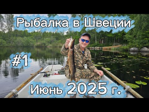 Видео: #1 рыбалка в Швеции, июнь 2025 г. ￼
