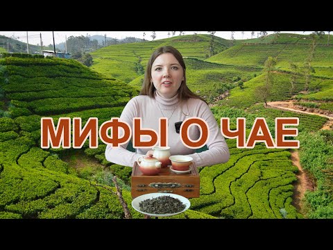 Видео: Топ-10 мифов о чае. Мифы о чае.