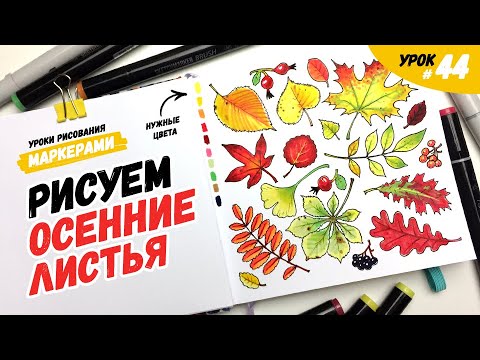 Видео: Как нарисовать осенние листья? / Видео-урок по рисованию маркерами для новичков #44