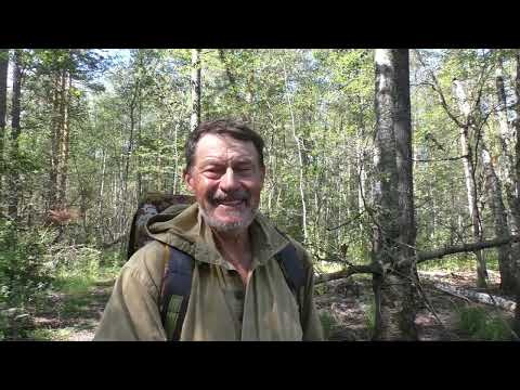 Видео: вновь по изведанным дорожкам