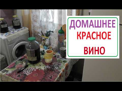 Видео: ДОМАШНЕЕ КРАСНОЕ ВИНО сусло из мезги синего винограда