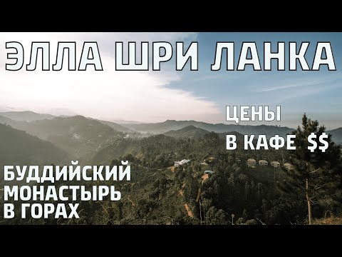 Видео: ЦЕНЫ в кафе ЭЛЛЫ. ШРИ-ЛАНКА 2022. Буддийский монастырь в горах. #шриланка