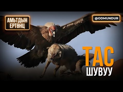 Видео: Тас - АМЬТДЫН ЕРТӨНЦ