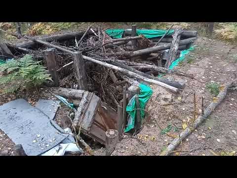 Видео: Разведка разрушенной землянки.Мысли о востановлении.