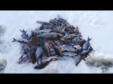 Видео: Зимняя рыбалка на мормышку. На озере.