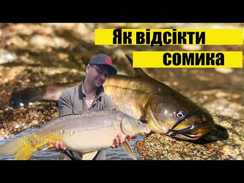 Видео: Нереально круте відкриття сезону!!!Як відсікти сомика.