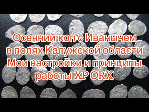 Видео: Коп в Калужской области с Xp ORX  поздней осенью. Настройки ORX
