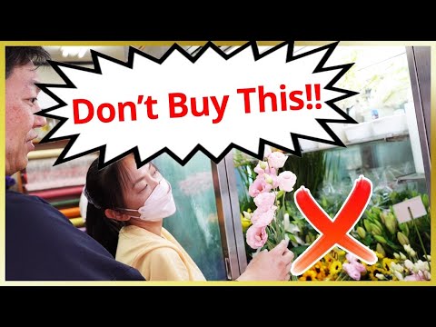 Видео: Советы по икебане | Как с умом выбирать материалы для цветов | Советы профессионалов